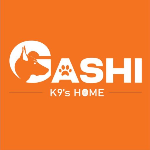 gashik9.com